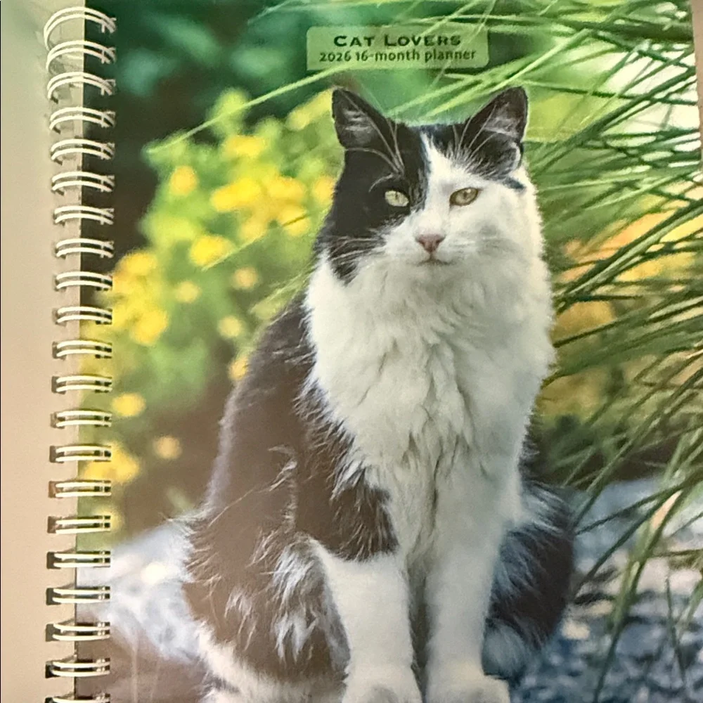 LAST CHANCE SALE- Cat Lovers 2026 Planner BNWT and Mug Set